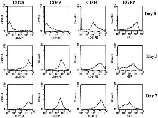 FIGURE 6. Expression of EGFP in activated T cells. Splenocytes were stimulated with 10 μg/ml anti-CD3ε Ab,145-2C11, and 10U/ml rIL-2 and analyzed for expression of cell surface activation markers CD25, CD69, and CD44 by flow cytometry on days 0, 3, and 7. For EGFP expression, CD8+ T cells were gated and 10,000 events were collected for each time point. Day 0 represents analysis before activation.