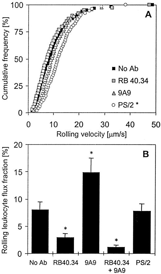 FIGURE 8. A, Cumulative frequencies for rolling velocities of all leukocytes before (no Ab) and after treatment with 30 μg of anti-P-selectin Ab RB40.34 and E-selectin Ab 9A9 and α4 integrin Ab PS/2 in postcapillary venules of TNF-α and IFN-γ-treated cremaster muscle. The average velocity for no Ab treatment is 9.6 μm/s, after RB40.34 is 10.6 μm/s, after 9A9 is 9.2 μm/s, and after PS/2 is 12.8 μm/s. ∗, Significantly different (p < 0.05) from no Ab treatment. B, Rolling leukocyte flux fraction in transgene-negative littermates with no Ab treatment (8%) and after treatment with anti-P-selectin Ab RB40.34 (2.9%), E-selectin Ab 9A9 (14.9%), P- and E-selectin Abs (1.2%), and α4 integrin Ab PS/2 (7.8%) in postcapillary venules of inflamed cremaster muscle. ∗, Significantly different (p < 0.05) from no Ab treatment.