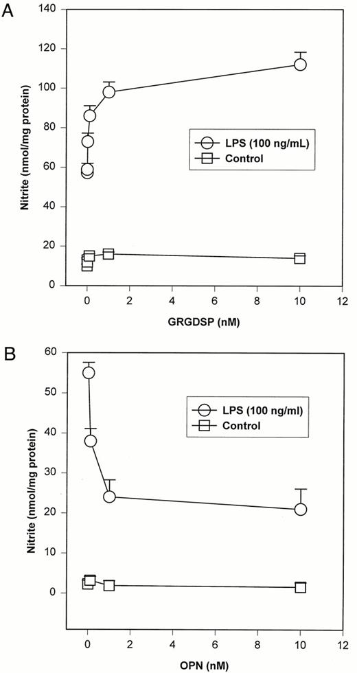 FIGURE 8. LPS-induced NO production in the presence of exogenous GRGDSP or OPN. A, Dose-response relationship between NO production and GRGDSP (0–10 nM) (ANOVA, p = 0.0001 for LPS). LPS and GRGDSP were added simultaneously. Cells were incubated for a period of 12 h. Values are expressed as mean ± SEM of three experiments. B, Dose-response relationship between NO production and OPN (0–10 nM) (ANOVA, p = 0.0001 for LPS). LPS and OPN were added simultaneously. Cells were incubated for a period of 12 h. Values are expressed as mean ± SEM of three experiments.