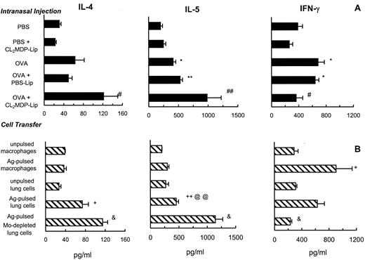 FIGURE 3. A, AM depletion before intranasal OVA challenge results in a significantly higher level of IL-4 and IL-5, with a lower concentration of IFN-γ in the BAL of Ag-sensitized mice. CL2MDP liposome (Lip) was intranasally injected at days 2 and 4 before allergen or PBS challenge to deplete AM. This procedure was controlled by the administration of PBS-Lip. Compared with PBS-challenged mice, ∗, p < 0.05; ∗∗, p < 0.01; and with Ag-challenged mice, #, p < 0.05; ##, p < 0.01. B, OVA-pulsed macrophage-depleted lung cells induce the highest level of IL-4 and IL-5, with the lowest concentration of IFN-γ in the BAL of Ag-sensitized recipient mice. Lung cells (3 × 106), macrophage-depleted lung cells (5 × 105) (both were irradiated at 2000 rad before use), and lung macrophages (1.5 × 106) were prepared as described in Materials and Methods, with and without OVA pulsing (1 mg/ml). Compared with the transfer of unpulsed cells, +, p < 0.05; ++, p < 0.01; with OVA-pulsed lung macrophages, @@, p < 0.01; and with OVA-pulsed lung cells, &, p < 0.05. BAL fluids were collected 3 days after intranasal challenge or cell transfer for cytokine ELISA analysis. Data represent the mean and SEM of 4–10 mice per group.