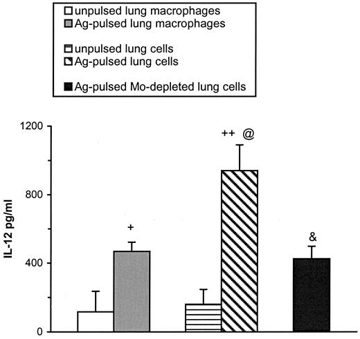FIGURE 7. IL-12p40 levels in the BAL of Ag-sensitized recipient mice following adoptive transfer of 3 × 106 lung cells, 1.5 × 106 lung macrophages, or 5 × 105 macrophage-depleted lung cells, with and without OVA pulsing. Lung APCs were prepared and irradiated as described in Materials and Methods. BAL fluids were collected 3 days after cell transfer for cytokine ELISA analysis. Data represent the mean and SEM of four to six mice per group. Compared with transfer of unpulsed cells, +, p < 0.05; ++, p < 0.01; with OVA-pulsed lung macrophages, @, p < 0.05; with OVA-pulsed lung cells, &, p < 0.05.
