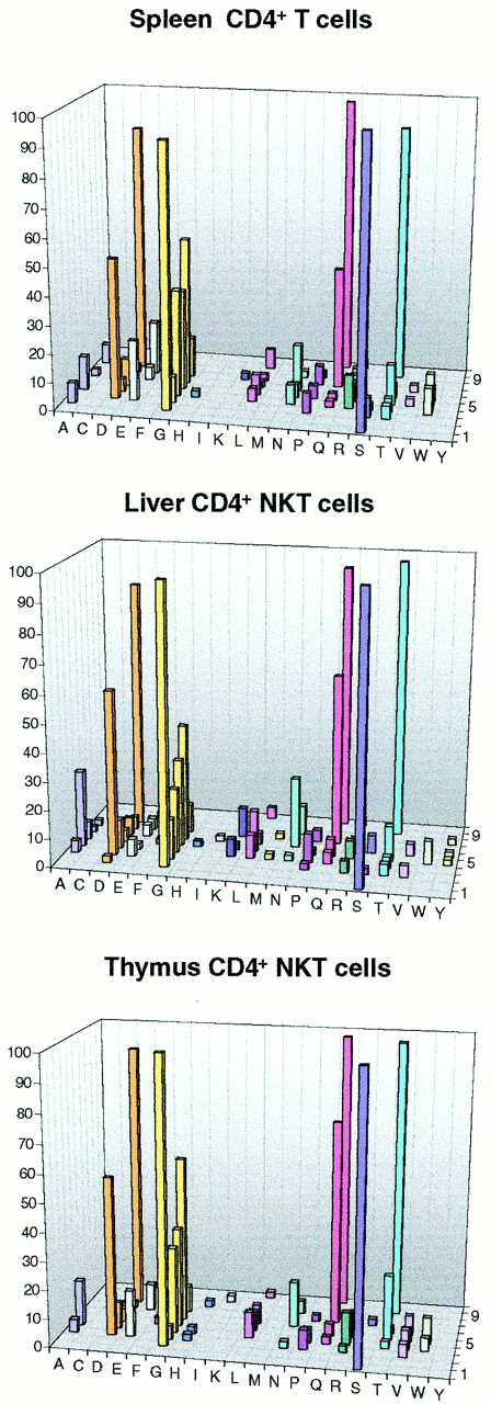 FIGURE 7. Similarity in the patterns of the Vβ8.2-Jβ2.5 rearrangement used by NK T cells and T cells. Extensive sequencing was performed in CD4+NK T cells from liver, thymus, and in conventional CD4+ T cells. For each organ, the analysis of all sequences permits the determination of the amino acid usage in percentage at each given position in a CDR3 of 10 aa.