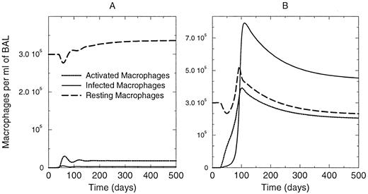 FIGURE 6. Model simulation results for macrophages. A, Results when latency is achieved; B, results of acute infection. Units are macrophages per milliliter of BAL.