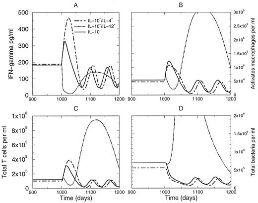 FIGURE 11. IL-10 depletion experiments. Three depletion experiments are performed and shown for four representative populations over time. A, Effects on IFN-γ when IL-10 only (solid line), IL-10 and IL-4 (dashed line), and IL-10 and IL-12 (dotted line) are each depleted; B, effects on the activated macrophage population; C, effects on the total T lymphocytes; D, total bacterial population. In each case, the system was in latency before the depletion was performed. Units are per milliliter of BAL.