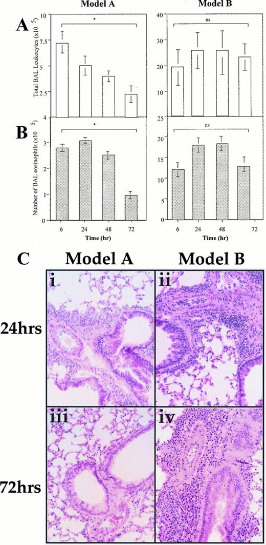 FIGURE 2. BHR differences between models are also reflected in kinetics of pulmonary inflammation. Model A (left) results in an acute transient inflammation, whereas model B (right) induces chronic persistent inflammation. A, Total leukocyte numbers were counted in lavage fluid recovered from mice sacrificed at the indicated time points following the final OVA challenge. B, Total numbers of eosinophils were calculated from differential stained BAL cytospins. Bars represent the mean (±SEM) number of cells per group of mice (n = 8). ∗, p < 0.01. C, Histology from mice sacrificed at 24 h after the final aerosolized challenge following protocol A (i) or protocol B (ii) or 72 h after challenge with protocol A (iii) or protocol B (iv). Representative hematoxylin and eosin-stained sections are shown (original magnification, ×400).