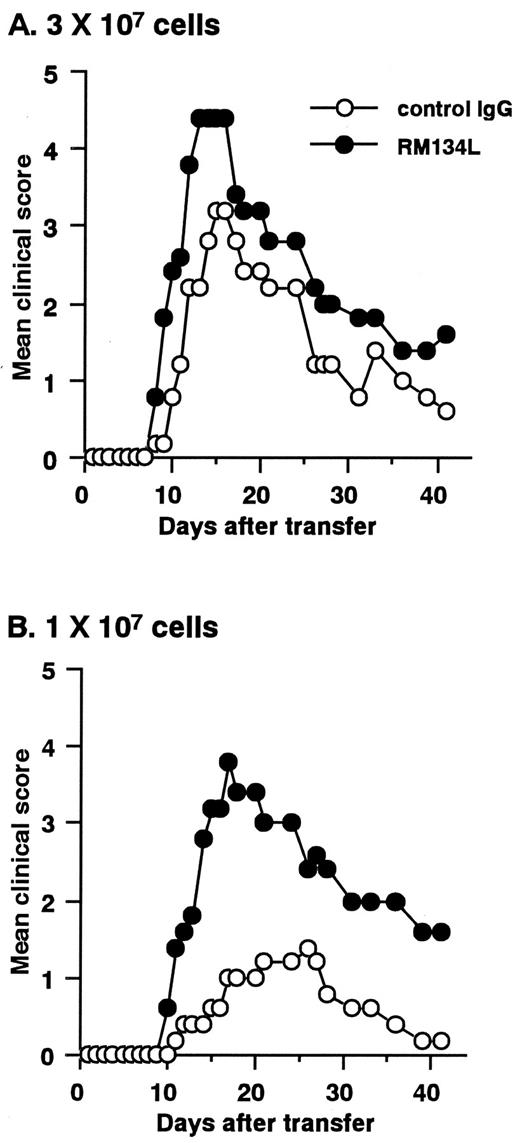 FIGURE 4. Adoptive transfer of EAE by DLN cells from the anti-OX40L-treated mice. SJL mice were immunized with PLP139–151/CFA and treated with 400 μg control IgG or RM134L from day 0 to day 7. DLN cells at day 10 were stimulated with PLP139–151 for 4 days in vitro, and then 3 × 107 cells (A) or 1 × 107 cells (B) were injected i.p. into naive SJL mice. Data are indicated as mean clinical score of five mice in each group. Similar results were obtained in two independent experiments.