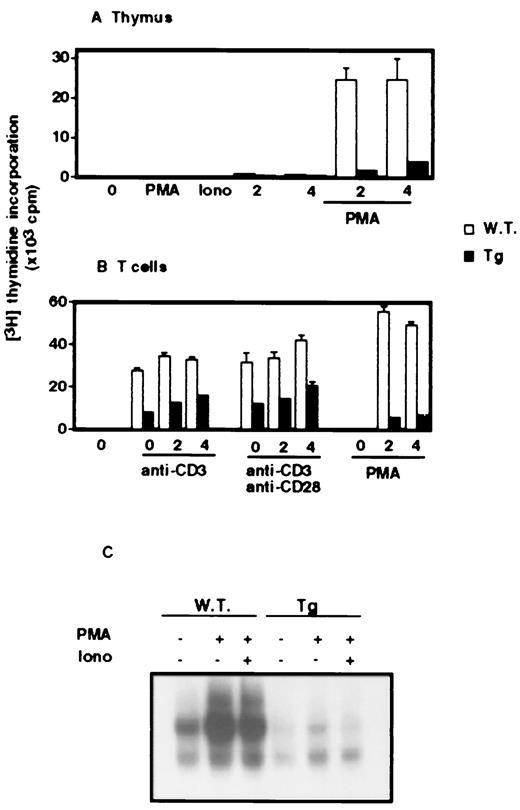 NFκB/Rel Participation in the LymphokineDependent Proliferation of T