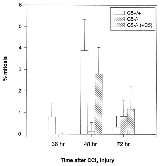 FIGURE 5. Decreased mitotic activity in C5−/− mice after CCl4 injury. Mitotic figures were counted in liver sections of C5+/+, C5−/−, and C5-reconstituted mice, at the indicated times after CCl4 exposure. Mean values were plotted as the percentage of mitotic cells among the total number of hepatocytes present in five high-power fields. SDs were calculated on the basis of at least three mice per time point.