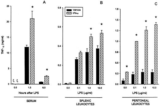 FIGURE 3. IFN-α can sensitize for LPS. C57BL/6 mice aged 5–6 wk, three to six mice per group, were treated with 105 U of IFN-α i.p. 48 and 24 h before 100 μg of LPS i.p. Serum was collected at 0, 1.5, and 6 h after LPS for TNF-α determination (A). Splenic leukocytes (B) and pooled peritoneal leukocytes (C) from mice treated with IFN-α 24 h before harvest were cultured with a titration of LPS as in Fig. 2. ∗, p < 0.05 for rIFN-α pretreatment vs vehicle. ξ, Below level of detection.
