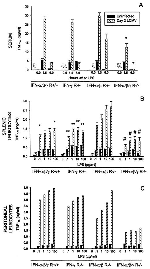 FIGURE 4. Blocking both IFN-αβ and IFN-γ during LCMV is necessary to decrease the TNF-α response to LPS. Wild-type 129 SvEV mice, (IFN-αβγ R+/+) and mice deficient in the receptors to IFN-αβ, IFN-γ, or IFN-αβγ were compared for virus-induced sensitization to LPS. Three mice per group were infected with LCMV and at day 2 were injected with 100 μg LPS. Serum was obtained at 0, 1.5, and 6 h after LPS challenge and assayed for TNF-α (A). Splenic and pooled peritoneal leukocytes from day 2 LCMV-infected mice were cultured with a titration of LPS as in Fig. 2. Supernatant TNF-α levels were determined by ELISA (B and C). ∗, p < 0.05 for IFN-αβγ R+/+ vs IFN-αβγ R−/−; #, p < 0.05 IFN-αβγ R−/− vs IFN-αβ R−/−; ∗∗, IFN-γ R−/− LCMV vs uninfected. ξ, Below level of detection.
