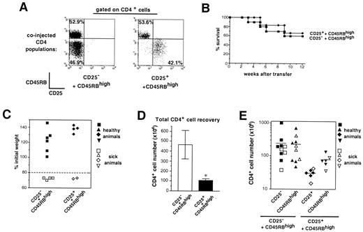 FIGURE 2. CD25+, but not CD25− CD45RBlow, CD4 T cells inhibit the accumulation of CD45RBhigh CD4 T cells transferred into RAG-2° hosts. Sorted CD25−CD45RBlow (CD25−) or CD25+CD45RBlow (CD25+) CD4 T cells (3 × 105) were coinjected with 3 × 105 CD45RBhigh CD4 T cells into RAG-2° hosts. A, FACS profiles of the coinjected populations. B, Recipients were sacrificed at 12–14 wk after transfer or when they dropped below 80% of their starting weight as indicated by the survival curve. C, Weight of the recipients at sacrifice (time points of sacrifice as indicated in B). Sick animals were defined as described in Fig. 1. D, Sum of the total CD4+ cell numbers scored in spleen; axillary, inguinal, and mesenteric lymph nodes; blood (assuming 3 ml of blood per animal); and intestine. The mean (± SEM) is shown. ∗, The difference is statistically significant (p < 0.04, by unpaired t test with Welch’s correction). E, CD4+ cell number for each donor population in the two groups of recipients. CD4+ cells from different origins were identified by the expression of different Ly5 isoforms. The data are pooled from three independent experiments. The difference between recovered CD45RBhigh T cell numbers in the two groups is statistically significant (p < 0.05, by unpaired t test with Welch’s correction; see also text).