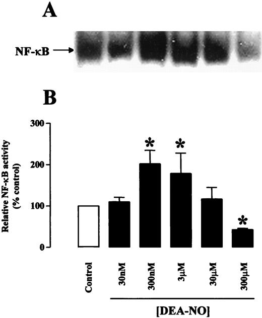 FIGURE 6. Activity of the transcription factor NF-κB in RAW 264.7 macrophages activated with LPS (1 μg/ml) in the absence and the presence of increasing concentrations of DEA-NO (30 nM to 300 μM). NF-κB activity was measured by EMSA 90 min after activation with LPS (A), and bands were analyzed by densitometry (B). Data are represented as the mean ± SEM density, expressed as a percentage of NF-κB activity with LPS alone (n > 5). ∗, p < 0.05 vs control.