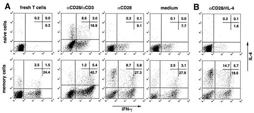 FIGURE 1. Signaling through CD28 is sufficient to induce Th2 cell differentiation from memory but not from naive CD4+ T cells. CD4+ naive (upper panel) and memory T cells (lower panel) were primed with anti-CD28 and the presence or absence of anti-CD3 (A) or the presence of IL-4 (B). For control, cells were cultured in IL-2 and control Ig (medium). Intracellular cytokines were detected by flow cytometry as described in Materials and Methods. Data from one representative experiment of at least four independent experiments carried out are shown.