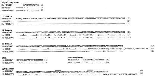 FIGURE 7. Predicted amino acid sequences and structural domains of the novel rhesus monkey KIR molecules Mm-KIR1D and Mm-KIR1Dsv4. The amino acid sequences of Mm-KIR1D and Mm-KIR1Dsv4 were aligned with that of Mm-KIR3DL7. Periods (.) indicate identity with Mm-KIR3DL7, dashes (-) indicate absence of amino acids, and tildes (∼) indicate amino acids encoded by the PCR primer used to amplify the cDNA. ITIMs are indicated by bars above the motifs. The amino acid sequence for Mm-KIR1D does not have a recognizable stem, transmembrane, or cytoplasmic domain. Mm-KIR1Dsv4 is a splice variant of Mm-KIR1D with a deletion in the D2 domain.