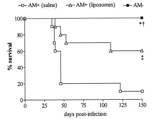 FIGURE 2. Effect of AM depletion on survival of mice following M. tuberculosis infection. BALB/c mice (n = 10 per group) were i.n. administered with saline, liposomes, or CL2MBP liposomes prior to and after bacterial challenge of 1 × 105 M. tuberculosis H37Rv. ∗, p < 0.05 AM− mice vs AM+ (saline) mice; †, p < 0.05 AM− mice vs AM+ (liposomes) mice; ‡, p < AM+ (saline) mice vs AM+ (liposomes) mice.