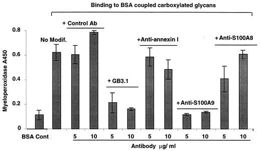 FIGURE 7. Neutrophil adhesion to immobilized carboxylated glycans is blocked by mAbGB3.1 and anti-S100A9. Neutrophil adhesion to immobilized carboxylated glycans was performed as described in Materials and Methods. Each point is the mean ± SD of two to four determinations.