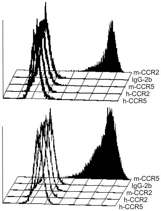 FIGURE 1. Specificity of the mAbs MC-21 and MC-68 on CHO cells overexpressing various chemokine receptors. The clone MC-21 (top) specifically recognizes murine CCR2 and shows no cross-reactivity to other receptors. The clone MC-68 only binds to murine CCR5 (bottom).