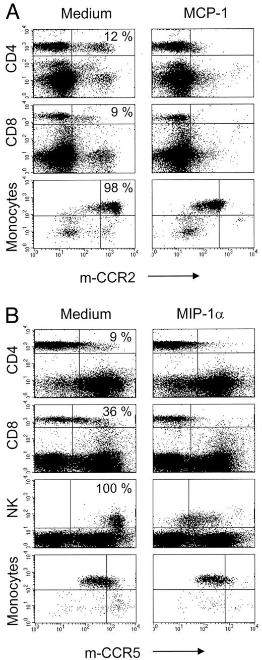FIGURE 2. Detection of CCR2 and CCR5 on murine peripheral blood leukocytes with the Abs MC-21 and MC-68. A, Monocytes homogeneously stain positive for CCR2, whereas only a small subpopulation of CD4+ and CD8+ T cells express CCR2 (left). Murine MCP-1 (1 μg/ml) almost completely down-modulates CCR2, further demonstrating the specificity of the Ab MC-21 (right). B, CCR5 is highly expressed on NK cells and only weakly detectable on monocytes. Among T cells, the CD8+ cells have a higher percentage of CCR5-positive cells than CD4+ cells (left). Down-modulation with murine MIP-1α (1 μg/ml) significantly reduced surface expression of CCR5 (right).