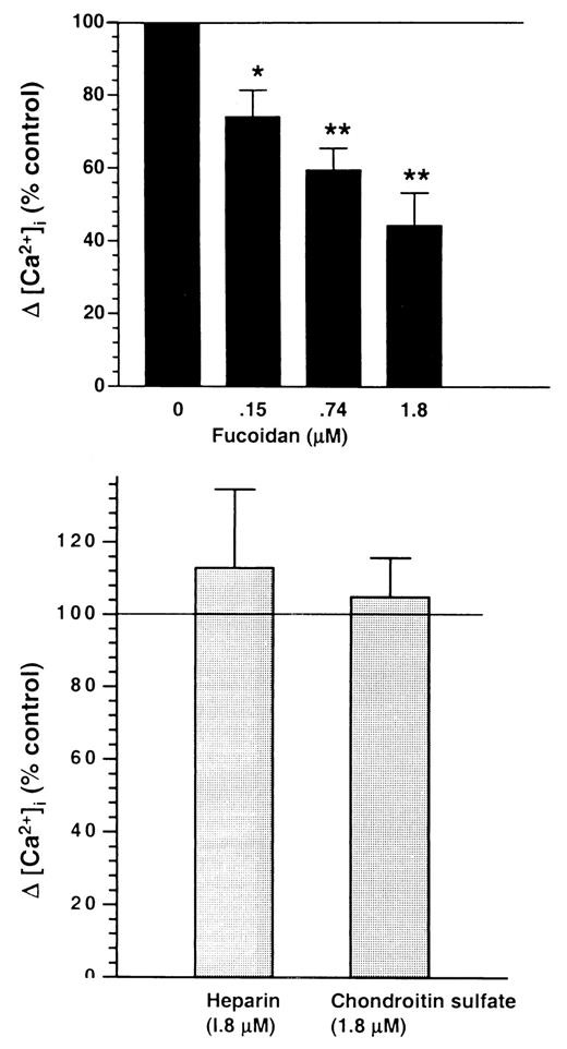 FIGURE 3. Top, Fucoidan suppresses the increase in [Ca2+]i induced by uPAR cross-linking. Data are expressed as percent control (uPAR cross-linking with 0 fucoidan), mean ± SEM, n = 4. Bottom, Control glycosaminoglycans (heparin, chondroitin sulfate; 1.8 μM) had no significant effect on the change in [Ca2+]i induced by uPAR cross-linking (n = 3). Data were analyzed by one-way ANOVA with Dunnett’s post test (∗, p < 0.05; ∗∗, p < 0.01).