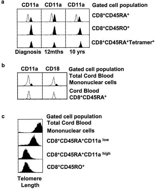 FIGURE 3. Stability of the CD8+CD45RA+LFA-1high phenotype on tetramer-bearing cells. a, Cryopreserved PBMC samples from adult patients with EBV-associated IM collected at intervals after infection were stained using CD11a FITC, tetramer PE, CD8 ECD, and CD45RA PE-Cy5 for four-color flow cytometry. The expression of CD11a was examined in the indicated cell populations. All tetramer-binding cells were in the high level population of CD11a expression at diagnosis and 1 and 10 years after infection. Results are from one HLA-B8 individual using RAK-B8 tetramer and are representative of three individuals tested. Filled areas of histograms indicate the CD11ahigh population. Results for CD18 expression were identical with those for CD11a in each case. b, T cells isolated from umbilical veins were stained using CD11a FITC, CD8 ECD, and CD45RA PE-Cy5. The CD8+CD45RA+ fraction showed no cells with high-level expression of CD11a or CD18. Filled areas of histograms indicate the CD11ahigh population. Representative of three subjects. c, Purified adult CD8+ T cell subsets (>95% purity) and whole cord blood mononuclear cells were labeled with a PNA probe specific for telomere repeat sequences and analyzed by flow cytomery. PNA fluorescence in adult CD8+CD45RA+CD11ahigh cells was significantly less intense than in the CD8+CD45RA+CD11alow cells but was indistinguishable from primed CD8+CD45RO+ cells. Data are representative of three experiments.