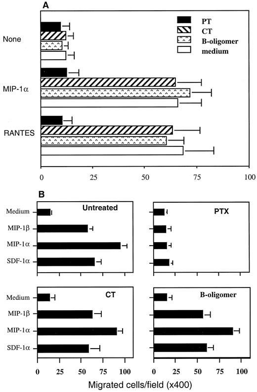 FIGURE 6. A, Incubation with PTX inhibits migration of uveitogenic T cells to chemokines. Uveitogenic T cell line was treated with 100 ng/ml of CT, B oligomer, or PTX at 37°C for 1 h, washed, and subjected to a standard chemotaxis assay in a Boyden chamber toward the indicated chemokines (10 nM). B, Lymph node cells from PTX-treated mice fail to respond to chemokines. B10.RIII mice were injected i.v. with 0.5 μg of PTX, 1 μg of CT or B oligomer, or were left untreated. Lymph node cells were collected after 24 h and were subjected to a standard chemotaxis assay in a Boyden chamber. The number of migrated cells per field in the PTX-treated group vs nontreated group is significantly different (t test, p < 0.05).