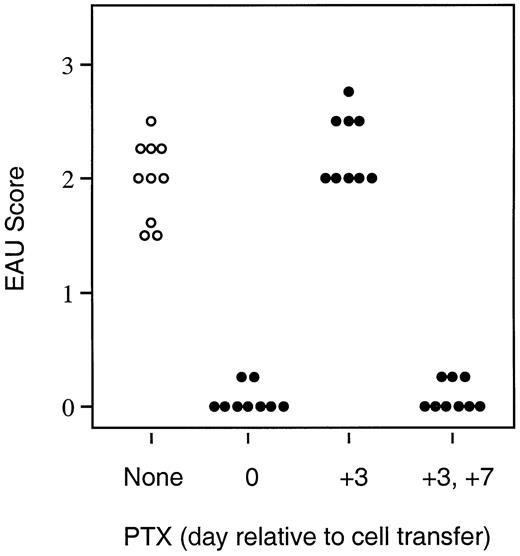 FIGURE 7. Inhibition of infiltration into the eye of either the first wave (Ag-specific T cells) or the second wave (recruited leukocytes) aborts development of EAU. B10.RIII mice were given 2 × 106 cells from a uveitogenic T cell line i.p. The mice received 0.5 μg of PTX i.v. at the indicated times relative to adoptive transfer. EAU score was assessed 10 days later by histopathology. The EAU scores of PTX-treated mice at day 0 or day +3, +7 (but not day +3) vs nontreated group are significantly different (p < 0.05).
