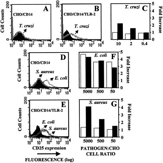 FIGURE 1. TLR-2 mediates cellular activation upon exposure to live T. cruzi trypomastigotes. CHO/CD14 (A) or CHO/CD14/TLR-2 (B) cells were left untreated (in black) or exposed to live trypomastigote at parasite: CHO cell ratio of 10:1 (gray lines) and the expression of the reporter transgene (CD25) was measured 18 h later. C, Parasite dose effect, as indicated by parasite: CHO cell ratio on expression of CD25 in CHO/CD14 (open columns) and CHO/CD14/TLR-2 (filled columns). CHO/CD14 (D) or CHO/CD14/TLR-2 (E) cells were left untreated (in black) or exposed to UV killed S. aureus (gray lines) or to UV killed E. coli (dotted lines) at 104 bacteria/cell. F (E. coli) and G (S. aureus), Bacteria dose effect on fold increase of CD25 expression on CHO/CD14 (□) and on CHO/CD14/TLR-2 cells (▪). The expression of the reporter transgene (surface CD25) was measured by flow cytometry. The fold increase on expression of CD25 was calculated by dividing the median fluorescence from stimulated by the median fluorescence from corresponding unstimulated control cells. The data presented reflect at least three independent experiments.
