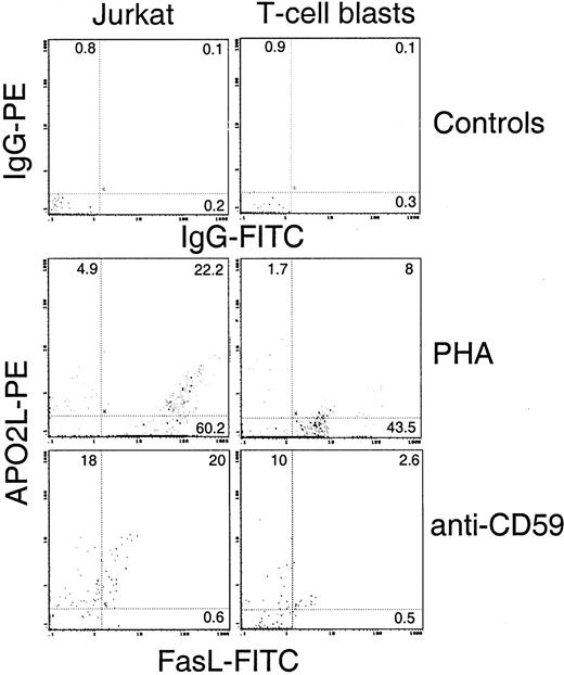 FIGURE 2. FasL and APO2L/TRAIL labeling of microvesicles secreted from human T cells. Left, Jurkat cell-derived microvesicles; right, 7-day T cell blast-derived microvesicles, as indicated. Top, Labeling of microvesicles obtained from cells stimulated with immobilized anti-CD59 mAb for 3 h, using FITC-labeled irrelevant rat IgG plus PE-labeled goat anti-mouse IgG; middle, labeling of microvesicles obtained from 1-h supernatants of cells pulse-stimulated with PHA, using FITC-labeled anti-FasL rat mAb H11 and anti-APO2L/TRAIL mouse mAb 5C2 plus PE-labeled goat anti-mouse IgG; bottom, labeling of microvesicles obtained from cells stimulated with immobilized anti-CD59 mAb for 3 h, as indicated above. Diagrams are representative of at least five experiments for each experimental condition.