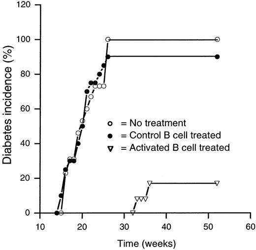 FIGURE 1. Transfusion of activated B cells inhibits diabetes progression in prediabetic NOD mice. Female NOD mice that were treated with activated B cells or control B cells, as well as unmanipulated control mice, were followed up to 1 year of age to determine the effect of treatment on long-term disease incidence. Two consecutive blood glucose levels of >13 mmol/L were considered as disease onset (n = 16 for each group).