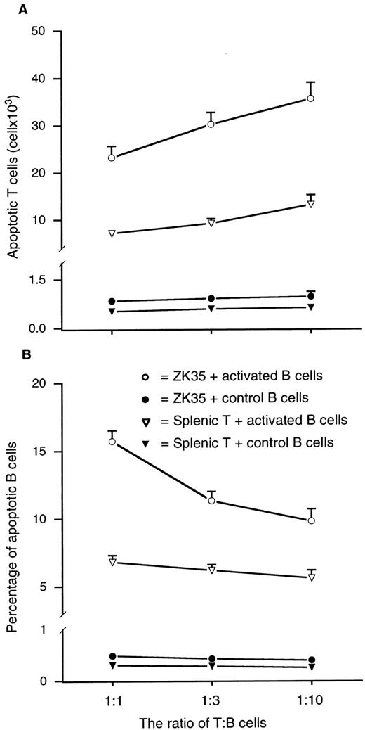 FIGURE 4. Coincubation of diabetogenic T cells with activated B cells leads to apoptosis of lymphocytes. A, The number of apoptotic T cells was expressed as the mean apoptotic T cells (over background of spontaneously apoptotic T cells) ± SEM. The background for incubated diabetogenic T cells and ZK35 T cells (alone) was ∼1358–1651 or 1672–1881 per 2 × 105 T cells, respectively. B, The extent of B cell apoptosis was expressed as the mean percentage of apoptotic B cells (over control of spontaneously apoptotic B cells) ± SEM. The average percentage of apoptotic B cells in controls was <1.4 or 0.5% for activated B cells and freshly isolated B cells, respectively. Data are from two independent assays.