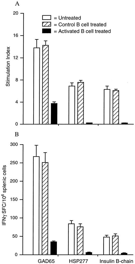 FIGURE 5. Treatment with activated B cells inhibits spontaneous Th1 responses to β cell Ags in prediabetic NOD mice. A, The mean Ag-induced T cell proliferation over background was expressed as the stimulation index ± SEM. The background for medium alone ranged from 2240 to 2825 cpm. B, The frequency of β cell Ag-specific IFN-γ-, IL-4-, and IL-5-secreting T cells in B cell-treated and unmanipulated NOD mice was determined by the ELISPOT assay. Data were presented as the mean number of spot-forming colonies (SFC) per 106 splenic cells ± SEM. Mice from control and experimental groups (n = 6 for each group) were tested simultaneously in two independent experiments (using triplicate cultures). All of the mice had undetectable levels of IL-4- and IL-5-secreting T cell responses to all of the tested Ags (data not shown). None of the control Ags (β-galactosidase and HEL11-25) induced significant splenic T cell proliferation or IFN-γ responses (data not shown).