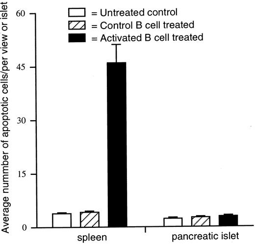 FIGURE 6. Treatment with activated B cells, but not control B cells, triggers apoptosis of mononuclear cells in the spleen. NOD mice were treated twice at 4 and 10 wk of age with 107 LPS-activated B cells or control B cells. At 12 wk of age, B cell-treated and unmanipulated NOD mice were sacrificed and their pancreata and spleens were paraffin embedded and sliced into sections. The number of apoptotic mononuclear cells was determined by TUNEL assay. Data are presented as the average number ± SEM of apoptotic cells per islet or per view in the marginal zone area of the spleen from 25 slides of 5 mice for each group.