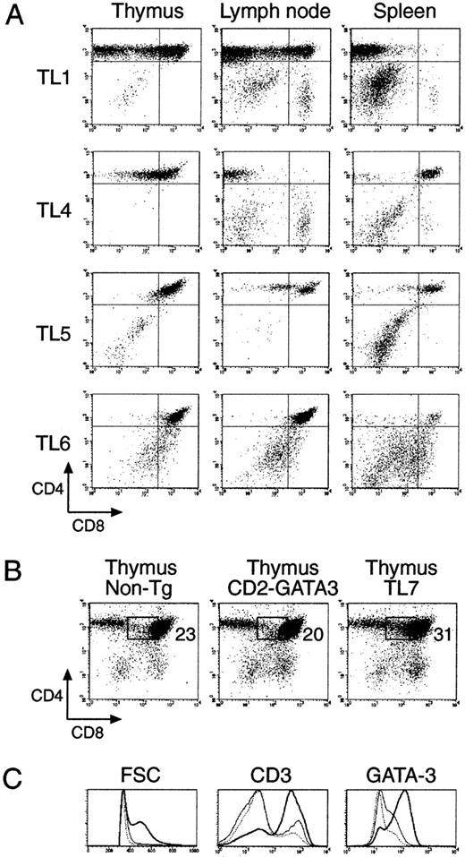 Enforced Expression of GATA3 During T Cell Development Inhibits Maturation of CD8 Single