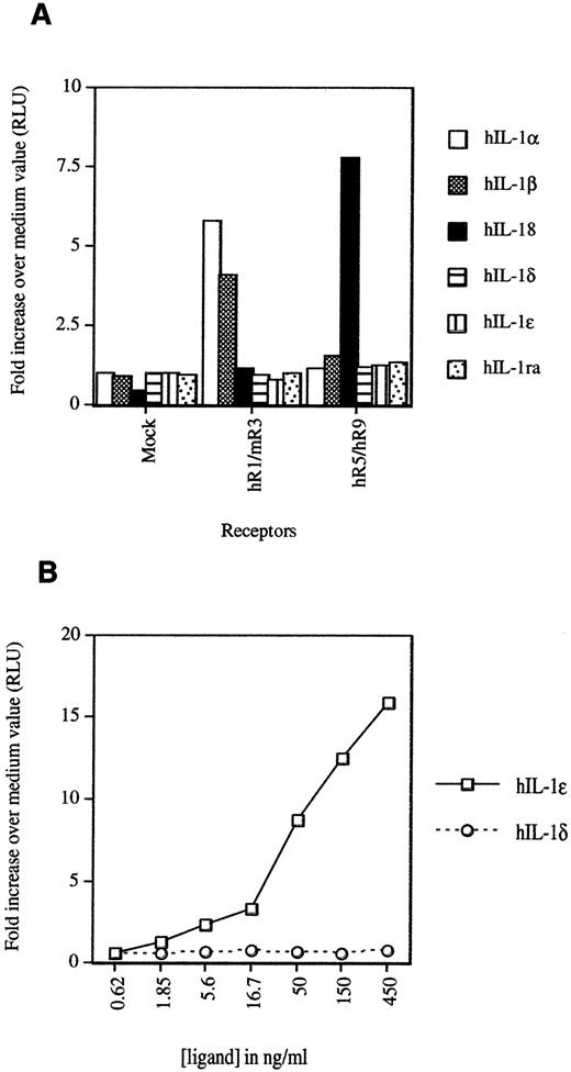 FIGURE 4. A, IL-1δ and IL-1ε do not activate NF-κB through classical IL-1Rs. Jurkat cells (4 × 106) were transfected with 2 μg of pNF-κB-Luc reporter gene plasmid, 0.5 μg of pRSV-βGal plasmid, and 4 μg of each IL-1R plasmid (in pME18S, all human, except mouse IL-1R3 plasmid) as indicated. Twenty hours after transfection, cells were left untreated or were stimulated for 6 h with human IL-1 ligands (20 ng/ml final, except IL-1δ or IL-1ε, which is used at 50 ng/ml final). Luciferase activities were determined and normalized on the basis of β-galactosidase activities. Single receptors did not give any luciferase response. Data shown are from one of two independent experiments with similar results. B, IL-1ε, but not IL-1δ, activates NF-κB through IL-1R6. See A for details. Jurkat cells were transfected with 0.5 μg of human IL-1R6 plasmid (in pME18S). Twenty hours after transfection, cells were left untreated or were stimulated for 6 h with human IL-1δ or IL-1ε at different concentrations. Mock protein control for human IL-1δ and IL-1ε gave a luciferase response similar to medium only. Data shown are from one of three independent experiments with similar results.