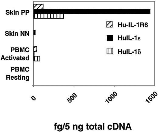 FIGURE 6. Expression of both IL-1δ and IL-1ε and IL-1R6 are increased in lesional psoriasis skin. Biopsies from lesional psoriasis skin (PP) and normal healthy skin (NN) and PBMC from a healthy donor stimulated with and without PHA were analyzed for expression levels of human IL-1δε and IL-1R6 by the Flurogenic 5′-nuclease PCR assay. See Fig. 3 for details.