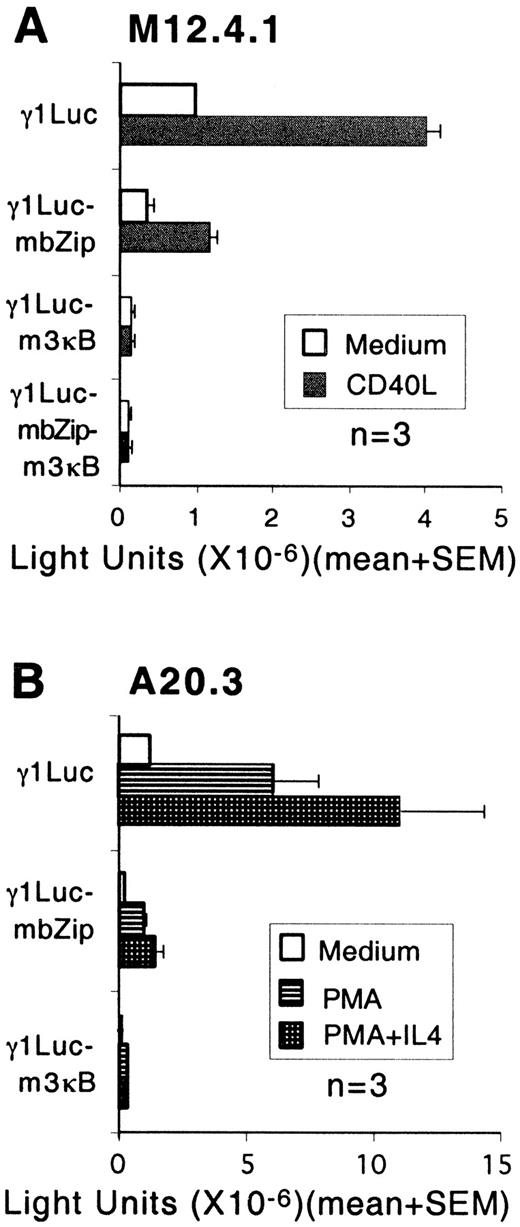 FIGURE 7. Effect of mutation of the bZip and NF-κB binding sites on GL γ1 promoter activity. A, M12.4.1 B cells were transfected with the indicated reporter plasmids and divided into two aliquots that were cultured for 12 h in the presence or absence of CD40L and assayed for luciferase activity, as described for Fig. 2. B, A20.3 B cells were transfected with the indicated reporter plasmids and divided into two aliquots that were cultured for 12 h in the presence or absence of PMA ± IL-4 and assayed for luciferase activity, as described for Fig. 2.