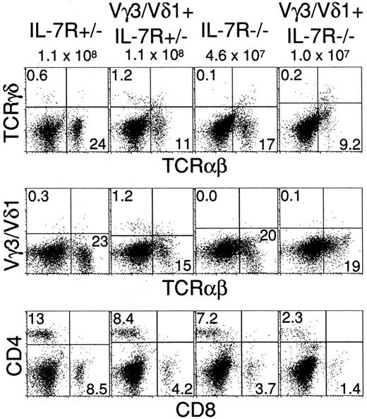 FIGURE 2. Introduction of the Vγ3/Vδ1 TCR transgene fails to restore γδ T cells in the spleen of IL-7Rα-deficient mice. Spleen cells were isolated and analyzed as shown in the legend to Fig. 1. The percentages of cells for a given phenotype are shown. The data are representative of three to four mice of each genotype (8- to 10-wk-old littermates). The cell numbers recovered from each mouse are shown above each panel.