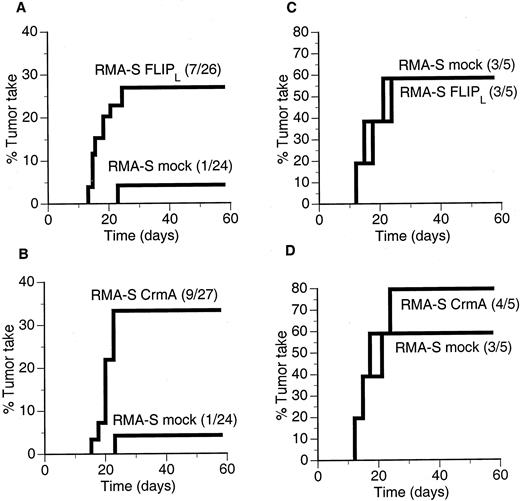 FIGURE 4. FLIPL, and CrmA promote tumor establishment and progression in vivo by preventing NK cell-mediated rejection. Groups of six to eight mice were injected s.c. in the interscapular region with 102 cells. The occurrence of tumors was monitored for 8 wk. The percentage of mice developing tumors when injected with RMA-S mock is compared with that of mice injected with RMA-S FLIPL (A) and RMA-S CrmA (B). The cells were also injected in NK cell-depleted mice, as described in Materials and Methods. The percentage of mice developing tumors when injected with RMA-S mock is compared with that of mice injected with RMA-S FLIPL (C) and RMA-S CrmA (D).