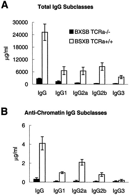 FIGURE 2. Polyclonal (A) and antichromatin (B) IgG subclass levels in 5-mo-old TCRα−/− and TCRα+/+ littermate male BXSB mice. Data are the mean ± SEM of six to eight mice per group. Total polyclonal and antichromatin IgG are the sum of the four subclasses.