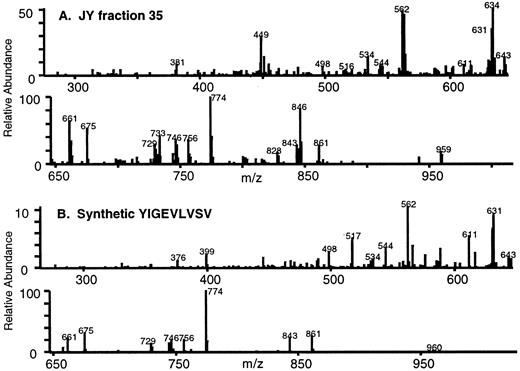 FIGURE 7. MS/MS analysis of HA-2V peptide in extracts of HLA-A*0201 from JY (MYO1GV/M) cells. A, MS/MS spectrum of ions of 978.6+1 detected in an aliquot of JY first-dimension fraction 35 that had been loaded onto a microcapillary HPLC column and eluted into the LCQ mass spectrometer. B, MS/MS spectrum of synthetic HA-2V peptide.