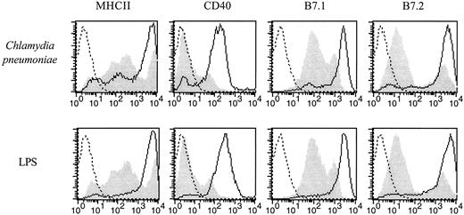 FIGURE 2. Up-regulation of MHC class II, CD40, CD80, and CD86 by dendritic cells derived from BALB/c mice upon contact with C. pneumoniae. BMDDC derived from BALB/c mice were exposed to C. pneumoniae (5 IFU/cell) or stimulated with endotoxin (50 ng/ml) for 2 days. The cells were double stained with a strepatavidin-CyChrome-labeled, CD11c-specific mAb and a PE-labeled anti-MHC class II mAb, a PE-labeled anti-CD40 mAb, a PE-labeled anti-CD80 mAb, or a PE-labeled anti-CD86 mAb as indicated in the graphs. The cells depicted in the graphs were gated on CD11c. Dead cells were excluded based on forward and side scatter characteristics. Dotted lines represent isotype controls, the gray shadowed area represents dendritic cells exposed to a preparation of uninfected HEp2 cells (upper panels) or medium alone (lower panels), and the solid line shows dendritic cells exposed to C. pneumoniae. The experiment was performed three times with equal results.