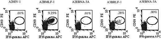 FIGURE 1. EBV-specific production of IFN γ by CD8 T cells of an HLA-A2+,A3+ acute EBV patient at presentation with symptoms (V-1).
