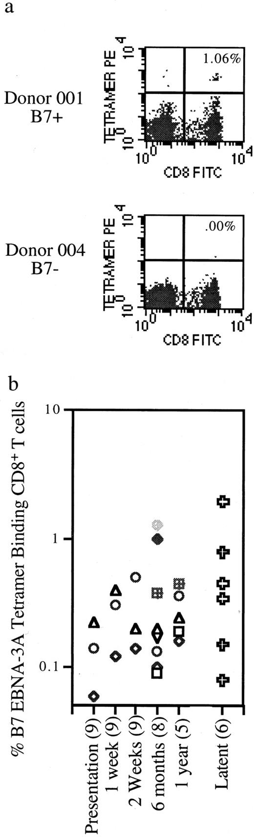 FIGURE 5. a, HLA class I tetramer analysis using the B7 EBNA-3A tetramer on two EBV-seropositive donors. Percentages of tetramer-binding T cells are expressed as a percentage of total CD8 T cells. b, Percent of B7 EBNA-3A-specific CD8 T cells over time after acute EBV infection. For presentation through 1 yr, each symbol represents the same individual. n values for each time point are in parentheses. EBV-seropositive donors at least 10 yr from acute EBV infection are designated latent.