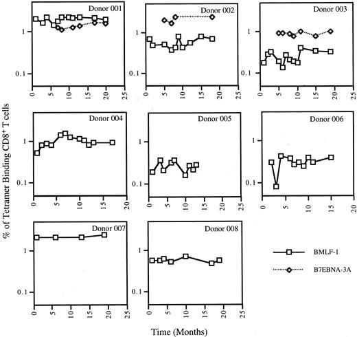 FIGURE 7. Longitudinal analysis of A2 BMLF-1 (⋄) or B7 EBNA-3A (□) tetramer-binding CD8 T cells during 20 mo for 3 A2/B7 and 5 A2 long term EBV-seropositive donors.