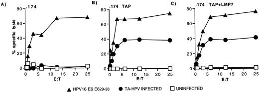 FIGURE 7. Presentation of the HPV16 E629–38 epitope is dependent on TAP. Clone 7E7 was assayed against 51Cr-labeled 721.174 cells (.174) (A), 721.174 cells transfected with the TAP1 and TAP2 genes (.174/TAPs) (B), and 721.174 cells transfected with the LMP7 gene as well as the TAP1 and TAP2 genes (.174/TAPs/LMP7) (C). Target cells were uninfected (□), infected with TA-HPV (•), or pulsed with HPV16 E629–38 (▴).