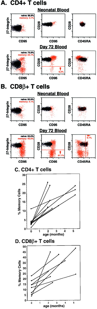 FIGURE 3. Peripheral blood T cells with a putative memory phenotype are rare at birth in RM, but rapidly accumulate in the first few months of postnatal life. PBMC from blood obtained in the first 24 h of life and at postnatal day 72 from the same RM were examined for their correlated expression of CD4 or CD8β vs CD95 vs CD45RA vs either CD28 or β7 integrin and analyzed as described in Fig. 1 legend. Five thousand events gated on CD4+ (A) or CD8β+ (B) small lymphocytes are shown, with the overall percent naive (blue)/memory (red) provided in the top left profiles in each figure, and the percentage of the memory population with the designated phenotypes (CD28− or CD45RA++) shown in association with defining lines and arrows. Similar analyses on sequential neonatal and 2- to 5-mo postnatal specimens were performed on seven additional RM, and the frequencies of CD4+ (C) or CD8β+ (D) T cells with the putative memory phenotype for all eight animals studied are shown.