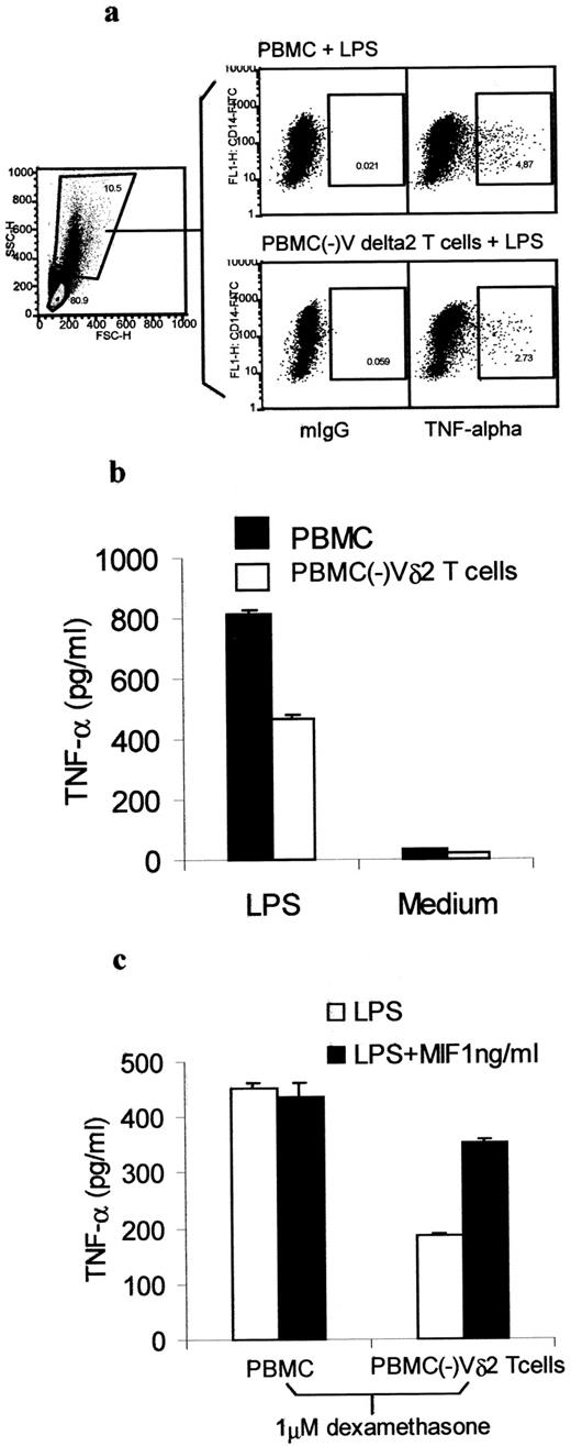 FIGURE 4. Vγ2Vδ2 T cells augmented TNF-α production and secretion in response to stimulation with LPS. a, Human PBMC that were depleted or mock depleted of Vδ2 T cells were cultivated in RPMI medium and stimulated with 1 μg/ml LPS for 18 h. Intracellular TNF-α production by monocytes (stained with CD14 Ab) was determined by flow cytometry using a two-color staining technique. Following a ubiquitous burst of TNF-α production and secretion at the beginning of LPS stimulation, monocytes produced up to 2-fold more intracellular TNF-α in the presence of Vγ2Vδ2 T cells than in the absence of these cells 18 h after exposure to LPS. b, Human PBMC depleted of Vδ2 T cells secreted up to 2-fold less TNF-α than PBMC that were mock depleted of Vδ2 T cells when stimulated with 1 μg/ml LPS for 6 h. c, PBMC were cultivated in RPMI medium containing 1 ng/ml MIF and 1 μg dexamethasone for 16 h and then stimulated with 1 μg/ml LPS for 6 h. MIF almost completely restored TNF-α secretion of Vδ2 T cell-depleted cultures to the levels of PBMC cultures that were mock depleted of Vδ2 T cells. Data were representative of four experiments. mIgG, Mouse IgG; FSC-H, forward scatter height.