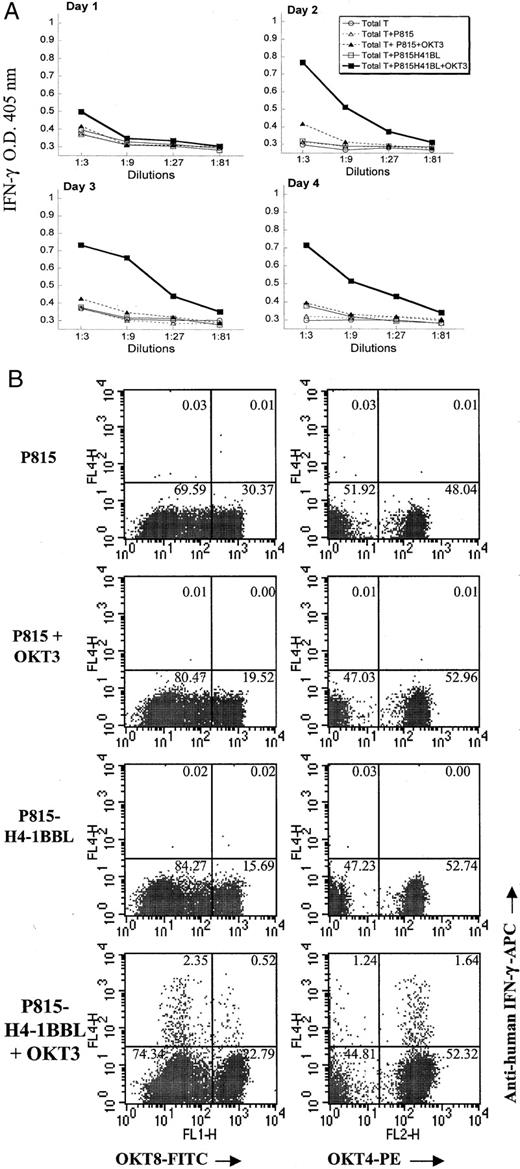 FIGURE 6. CD4 and CD8 T cells produce IFN-γ in response to 4-1BBL plus OKT3 stimulation. Purified T cells (105) were cultured in 200 μl complete culture medium in 96-well plates with 5 × 104 irradiated control or H4-1BBL-transfected P815 cells at a 2:1 ratio in the presence or the absence of anti-CD3 for 2–4 days. A, Human IFN-γ in the supernatant was measured by ELISA. This experiment is representative of two similar experiments. B, The number of IFN-γ-producing CD4 and CD8 T cells was quantitated by flow cytometric analysis of intracellular IFN-γ on the CD4 and CD8 T cell subsets following stimulation as indicated to the left of the figure. The numbers in each quadrant reflect the percentage of total cells appearing in that quadrant. Qualitatively similar results were obtained using cells from three different donors.