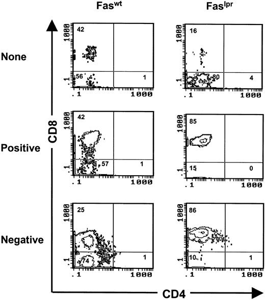 FIGURE 7. Fas deficiency affects peripheral T cell subset distribution in RAG-2−/− anti-HY-tg mice. Faswt and faslpr, RAG-2−/− male and female mice on H-2b/b or H-2k/k MHC backgrounds were analyzed by flow cytometry for CD4 and CD8 expression on lymph node cells coexpressing the tg HY-TCR (T3.70+). Data shown are from individual mice and are representative of three to four animals (∼6 wk of age) analyzed for each group. Samples were analyzed as described in Fig. 1.