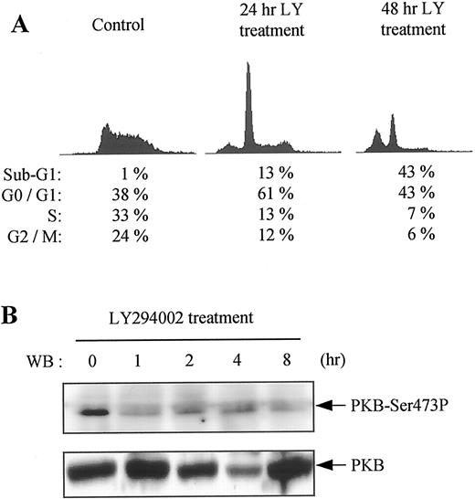FIGURE 2. Specific interference with the PI3K/PKB pathway mimics IL-2 deprivation. A, CTLL-2 mouse T cells were treated with LY294002 for 24 and 48 h in the presence of IL-2. They were harvested, fixed, and labeled as described in Fig. 1A for FACS analysis. B, CTLL-2 were treated with LY294002 for the corresponding periods of time in presence of IL-2, harvested, and lysed. PKB activity and total PKB were determined using the same Abs as in Fig. 1B.